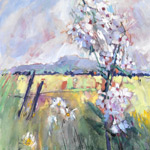 Midsummer - Ingleborough